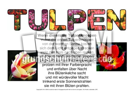 Gedicht-Wenn-die-ersten-Tulpenknospen-3.pdf